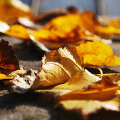 破局传统模式的攻击网站的方法